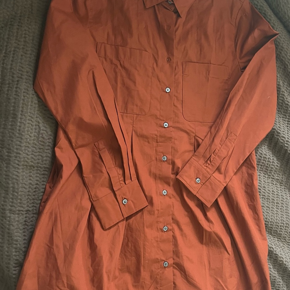 Banana Republic Terracotta Long Sleeve Dress - Picture 7 of 8